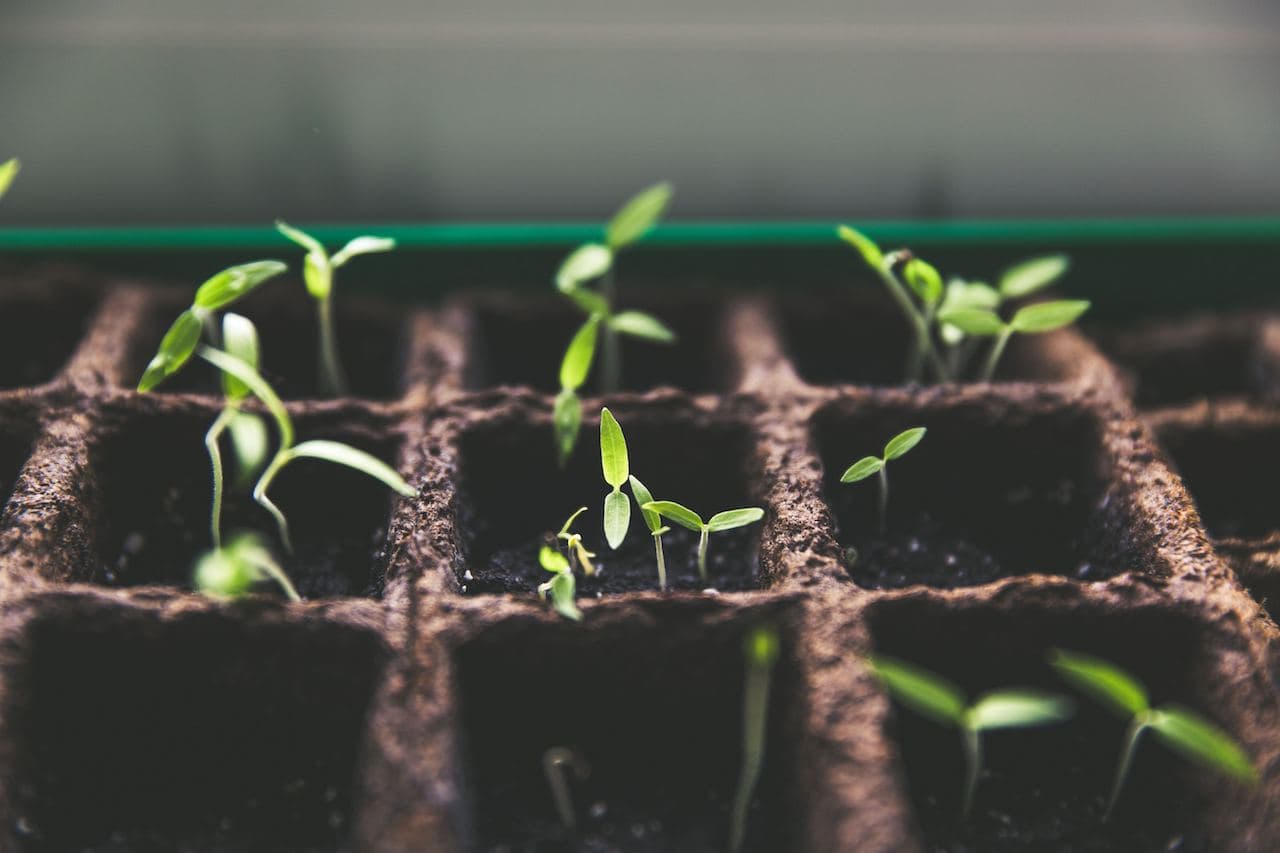 Managing Your Time Effectively to Drive Growth in Your Financial Advisory Practice